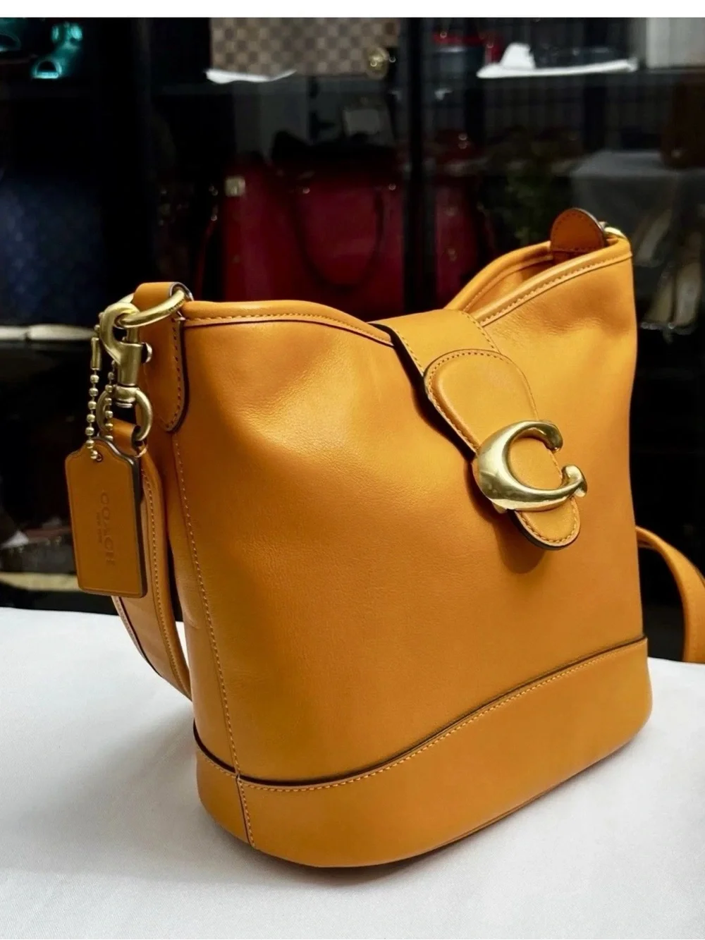 Coach Classic Tali Bucket Crossbody / Shoulder Bag – Canyon Glove-Tan Leather